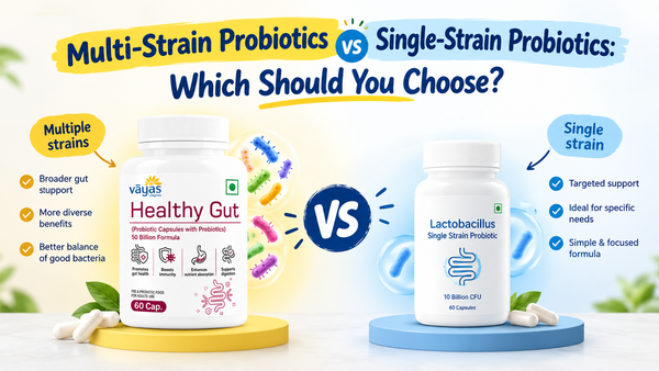 Multi-Strain Probiotics vs Single-Strain Probiotics: Which Should You Choose?