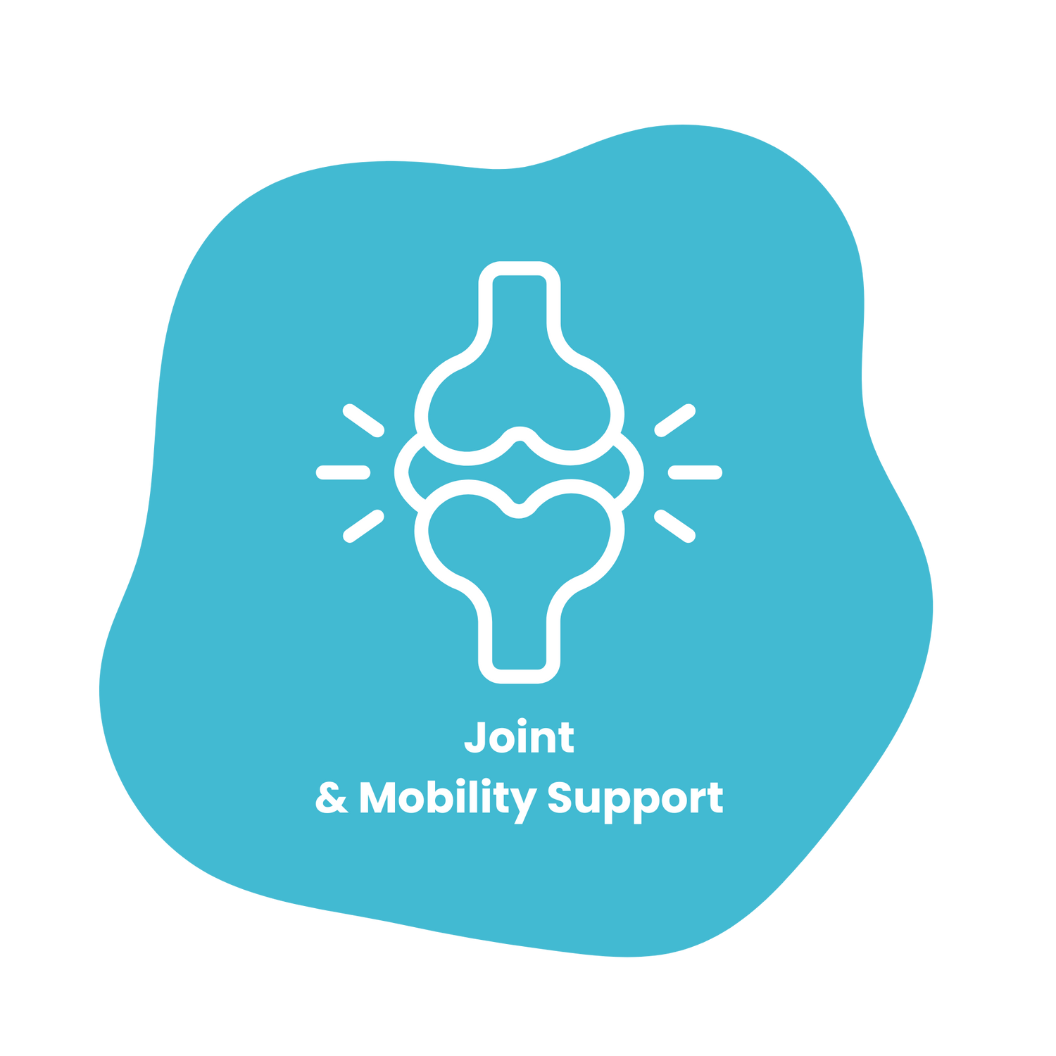 Joint & Mobility Support