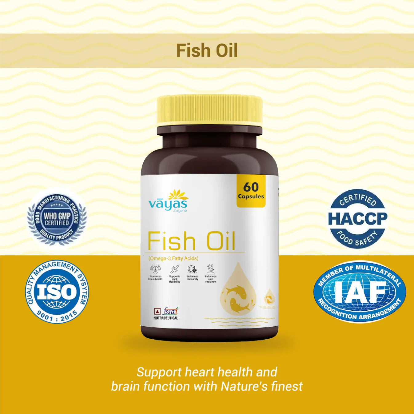 Vāyas Ultimate Cardio & Brain Stack: CoQ10 + Fish Oil Combo (Advanced Support for Heart Health, Cognitive Function, and Cellular Energy)