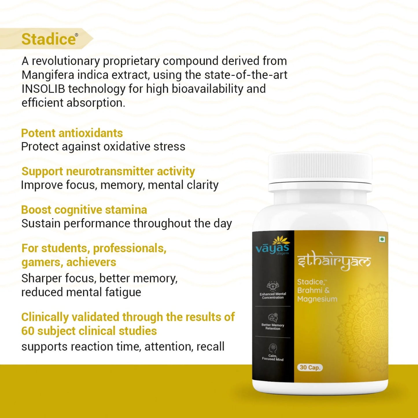 Vāyas Sthairyam | Cognitive Support for Focus, Memory & Calm | With Stadice®, Brahmi & Magnesium