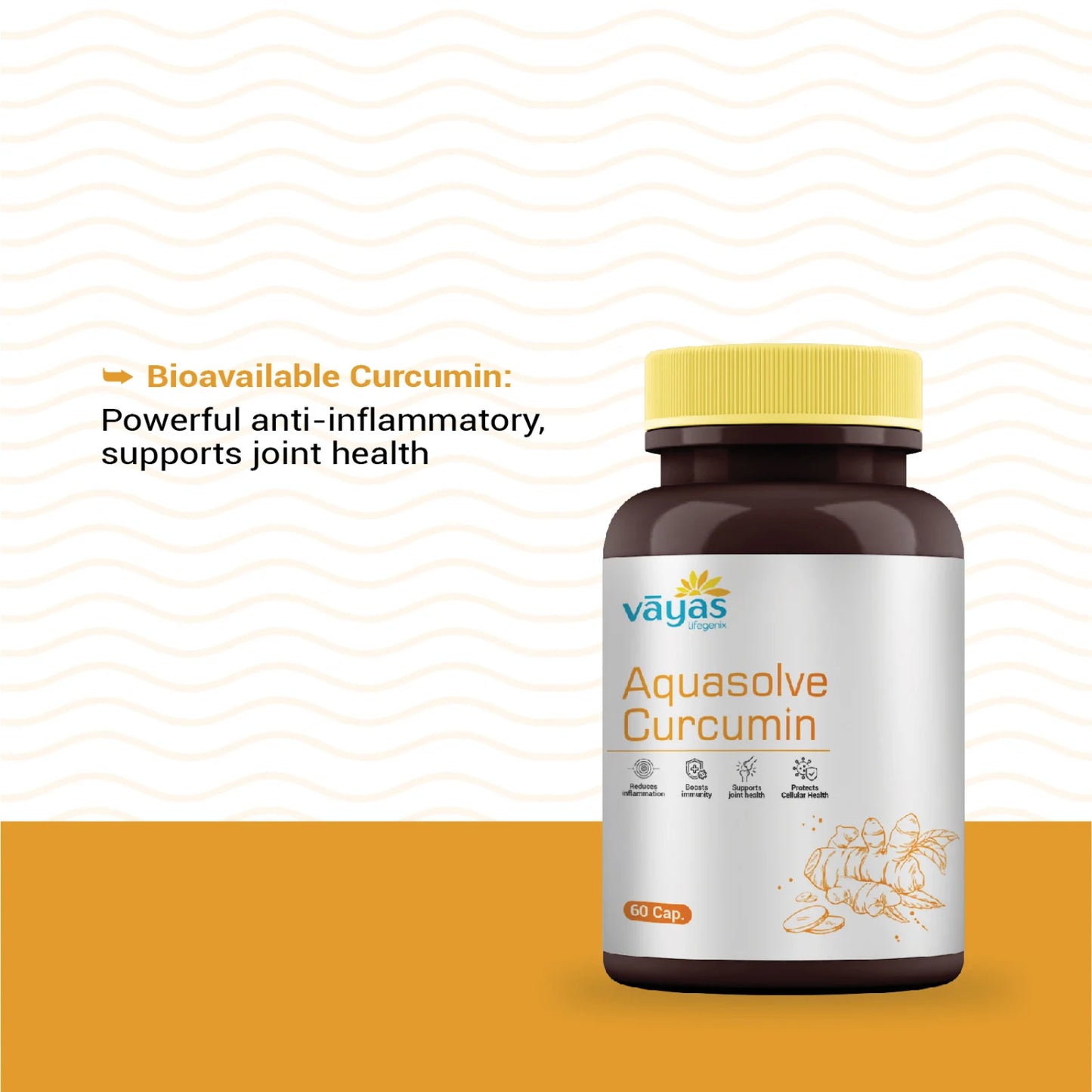 Vāyas Aquasolve Curcumin | High Absorption Turmeric Extract | Potent Anti-inflammatory & Joint Mobility