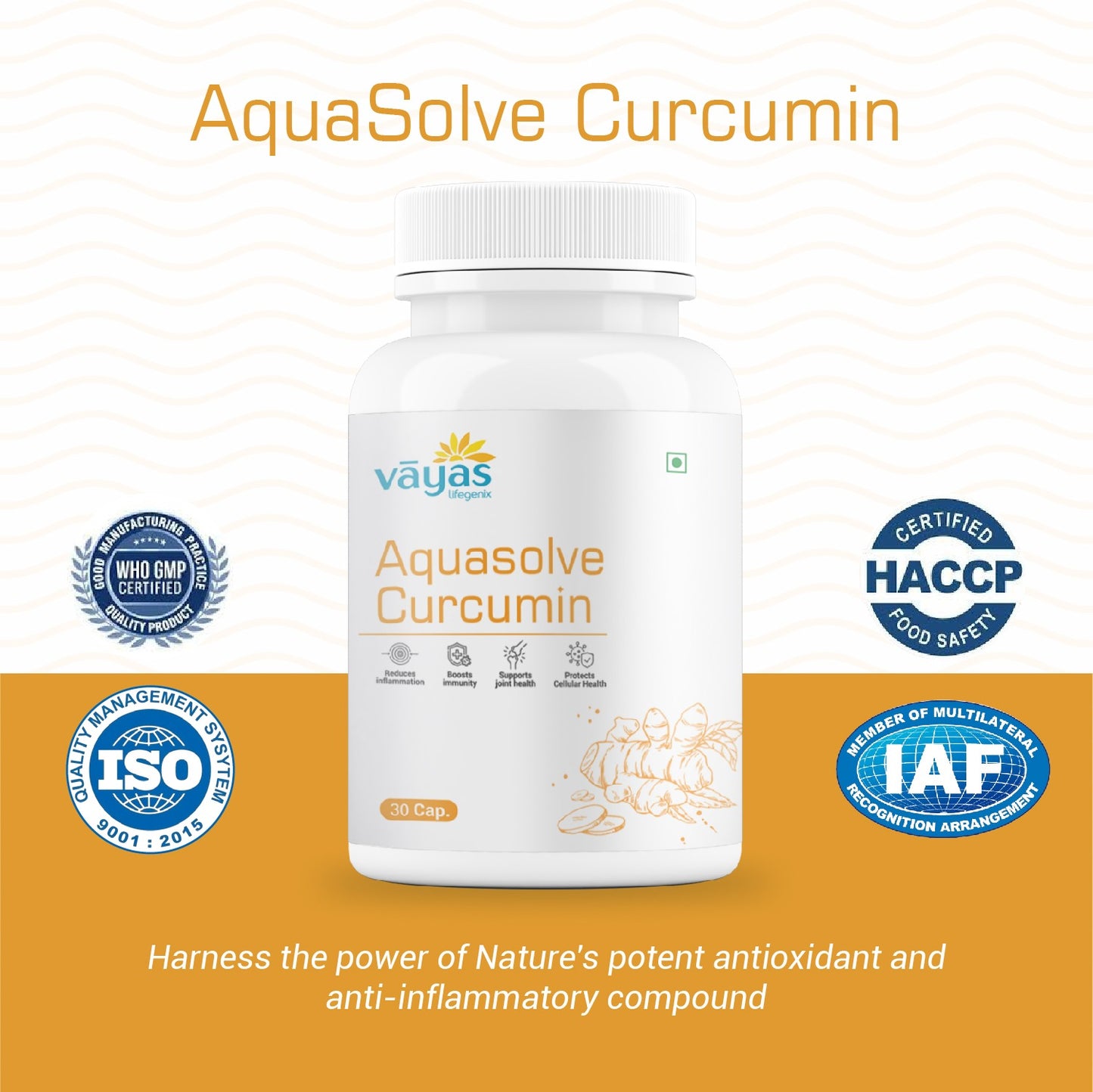 Vāyas Aquasolve Curcumin