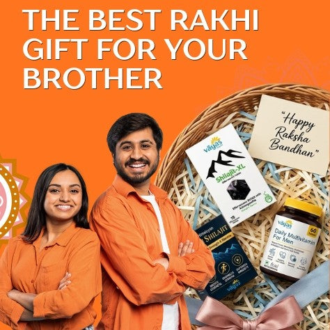 Vāyas Life Rakhi Strength & Vitality Stack: Shilajit Resin + Shilajit-XL + Multivitamin for Men