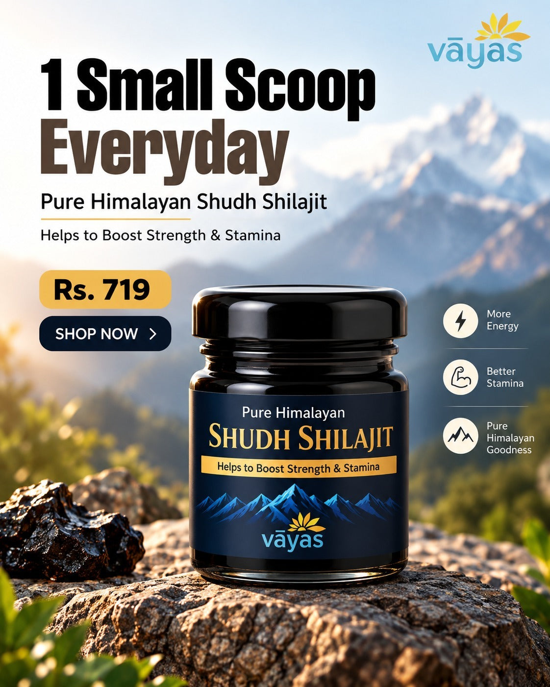 Pure Himalayan Shudh Shilajit herbal supplement