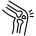 Joint & Mobility Support