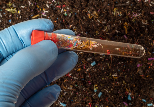 The Role of Trace Minerals in Your Body: Tiny Heroes, Big Impact